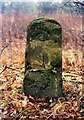 Old Milestone,  West of Weeford Lodge, Weeford