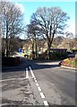 Looking down to Taylor Park, Crieff