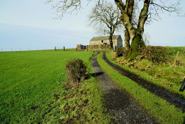 Lane along field, Carony