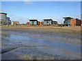 Silted up turning bay, River Colne