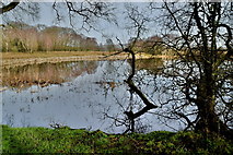 H3576 : The still water of Claragh Beg Lough by Kenneth  Allen