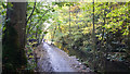 SD9952 : Path alongside Long Dam, Skipton Castle Woods by Phil Champion