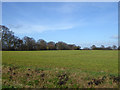 Site of Chequers Wood