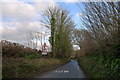 Approaching Cerne Abbas on Sydling Road