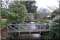 The River Cerne, Cerne Abbas