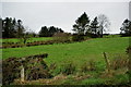 Castleroddy Townland