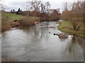 The river Clwyd at Pont Llanerch