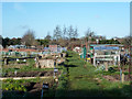 Allotments, Staines