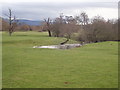 Oxbow lake near Trefnant