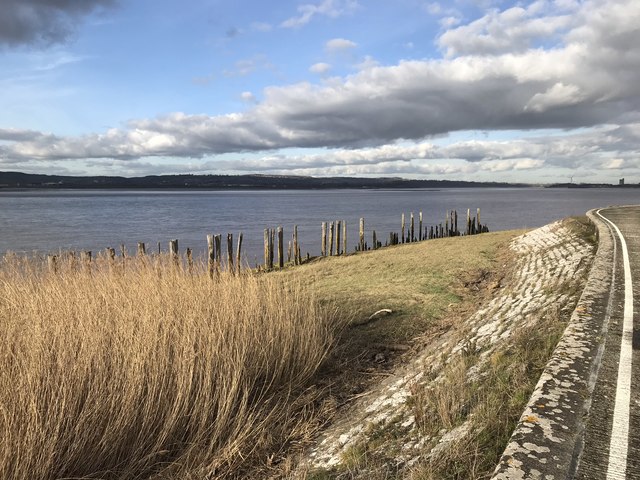 Historic wooden piles on the River Severn