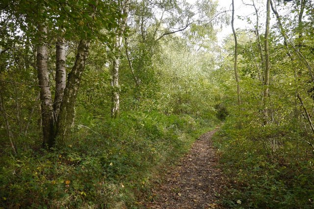 Path, Coats Wood