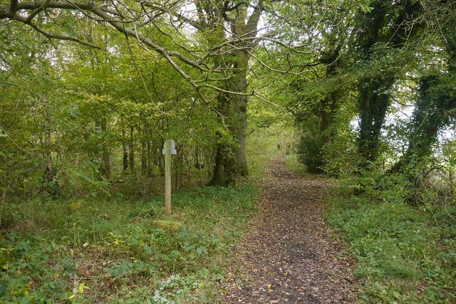 Path, Wenlock Edge