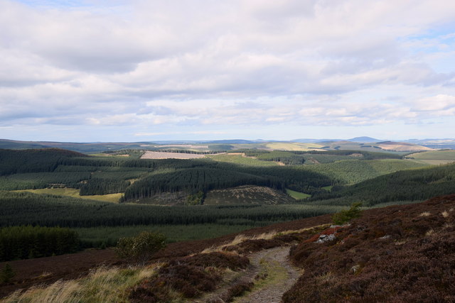 Looking north from Tap o'Noth