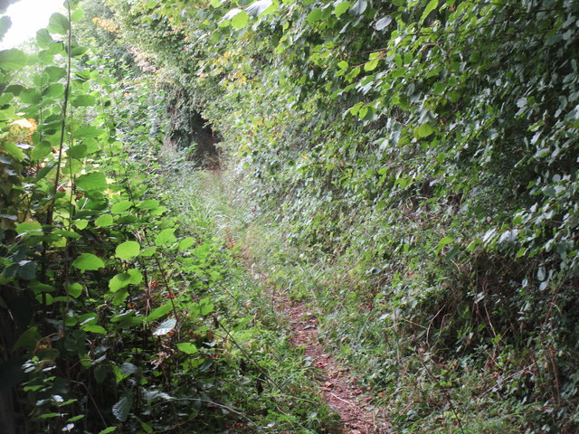 Footpath to St. Maughans