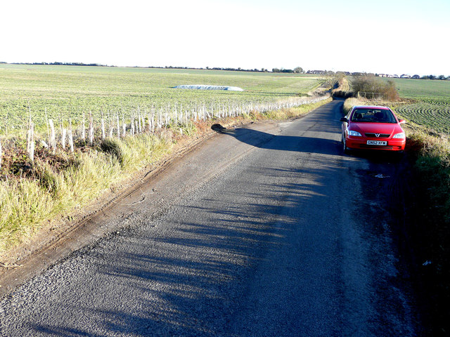 Newly planted hedge © John Baker  Geograph Britain and Ireland