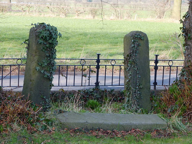 The Old Stocks