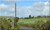 W4143 : County Cork, R600 by N Chadwick
