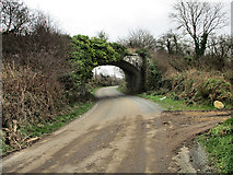 S7435 : Railway Bridge by kevin higgins