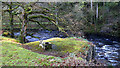 Stone seat by Afon Mawddach