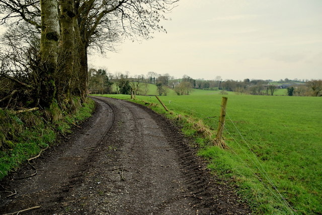 Muddy lane, Loughmuck (Alcorn)
