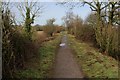 ST8310 : North Dorset Trailway near Shillingstone by Chris Heaton