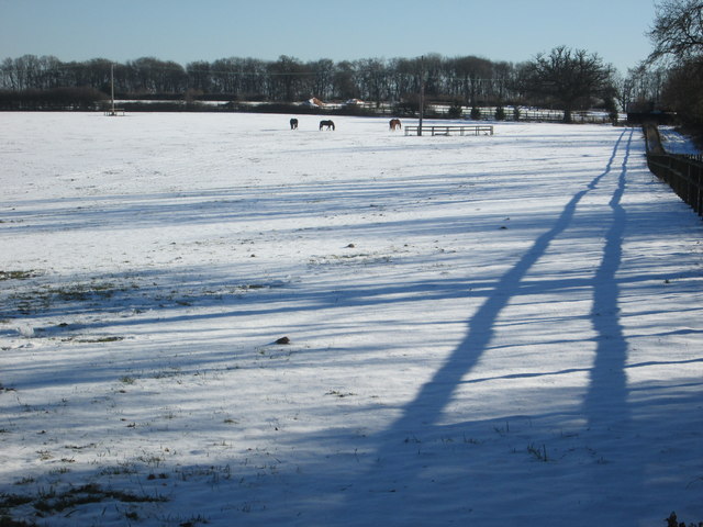 Long shadows in the snow