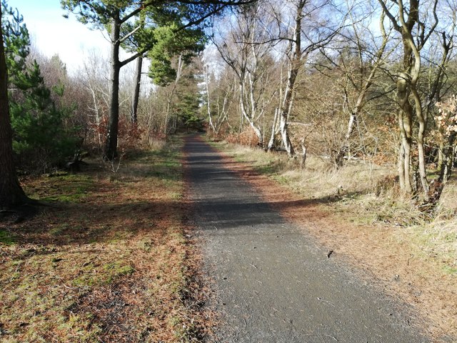 Deerness Valley Railway Path near Ushaw Moor