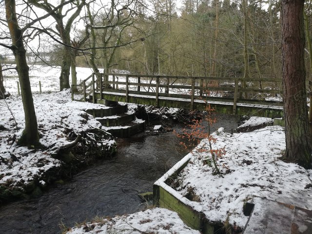 Footbridge in Allerwash Mill wood