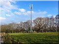 Communication Mast near Delph Lane