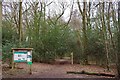 TQ4148 : Staffhurst Wood by Glyn Baker