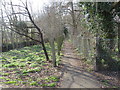 Public footpath near Morden