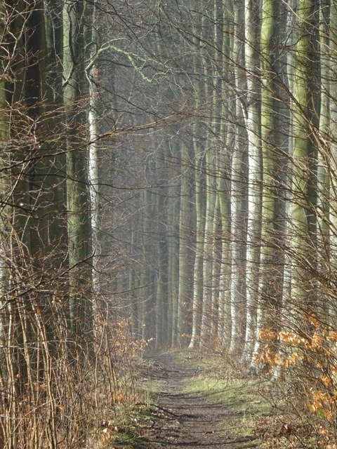 Gloucestershire Way approaching Notgrove