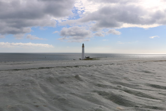 Scurdie Ness Lighthouse with crop covers in the foreground