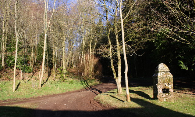 Track into Flakebridge Wood passing water supply pillar