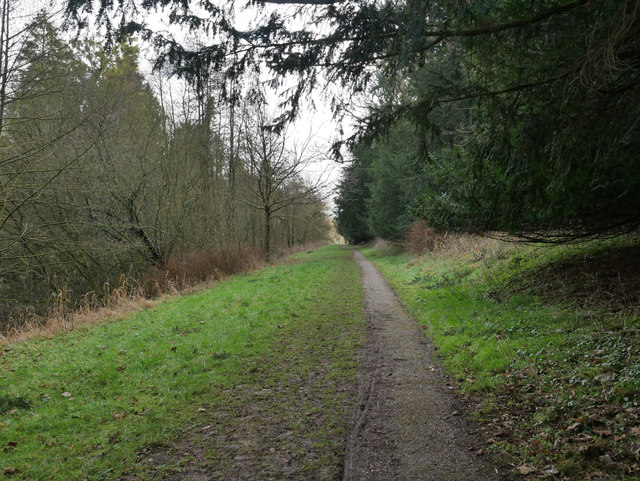 Path alongside Lynford Lakes