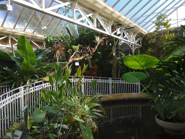 Tropical House, Birmingham Botanical Gardens
