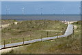 TG5310 : Boardwalk through the dunes at North Beach by Mat Fascione