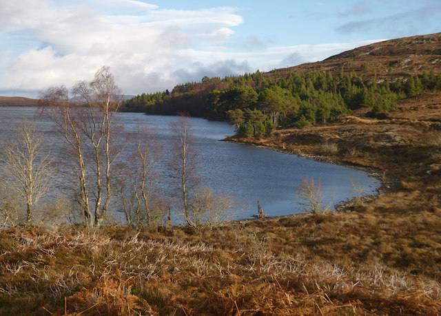 Trees by Loch Bruicheach