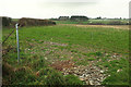 SW9671 : Field near the County Showground by Derek Harper