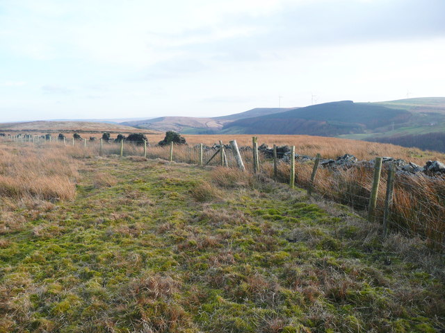 A curve in the path and the boundary wall of Cartridge Pasture, Cliviger