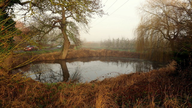 Pond by the B4224, 2019