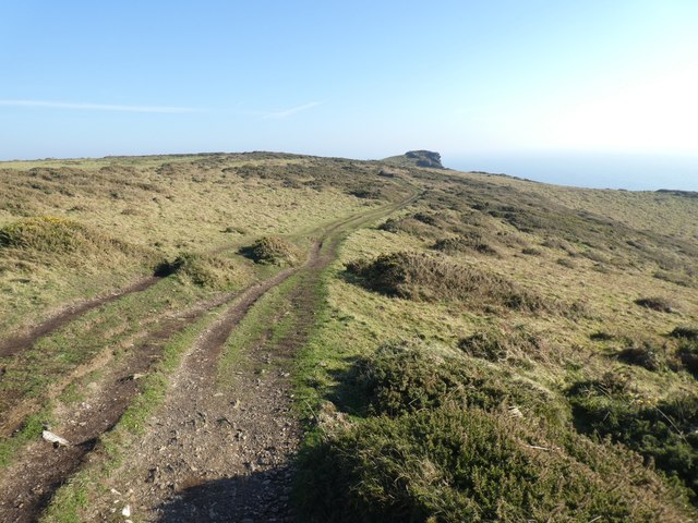 South West Coast Path above Steeple Cove