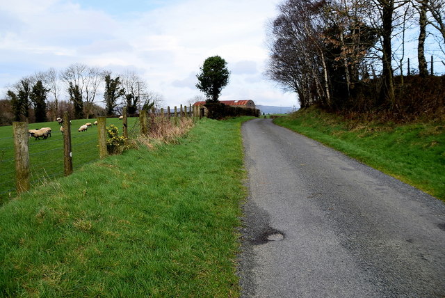 Grass Verge Along Tattynagole Road © Kenneth Allen Geograph Ireland