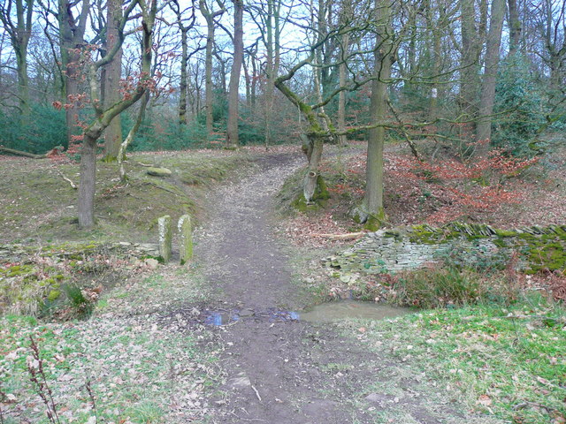 Footpath entering Royd House Wood