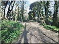 Goring-by-Sea, footpath