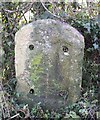ST8561 : Old Milestone by the B3105, Forewoods Common, Holt parish by M Faherty
