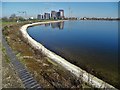 Reservoir No.4 at Walthamstow Wetlands