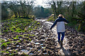 Mid Devon : Muddy Field