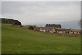 Leckiebank Farm Cottages