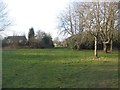 Green space by Canley Brook